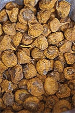Maca (Lepidium meyenii)