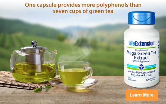 Mega Green Tea Extract - One capsule provides more polyphenols than seven cups of green tea. Click here to learn more