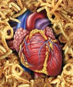 What Causes Heart Failure?