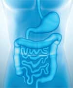 Probiotics Protect Against Chronic Disease