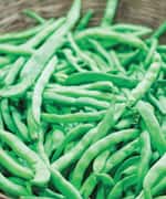 5-MTHF Lowers Homocysteine Levels