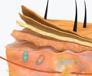 SIDEBAR IMAGE ALT TEXT