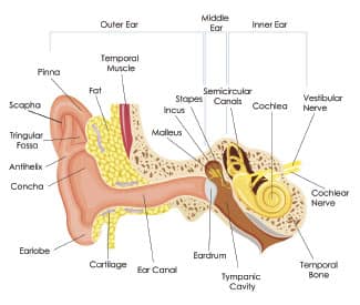 SIDEBAR IMAGE ALT TEXT