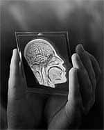 How Tryptophan Functions in the Body