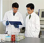 The Memorial Sloan Kettering Experience