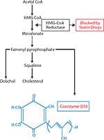 The Trouble with Statins