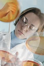 Experimental Studies