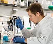 Resveratrol: A Caloric-Restriction Mimetic