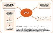 DHA also maintains the activity of a key cell membrane enzyme called Na+/K+ ATPase that extracts energy from ATP to drive the cellular sodium pump, which controls electrical impulses betweens cells.
