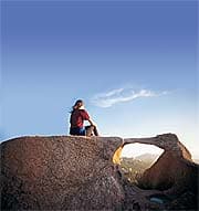 Bringing Yoga to North America