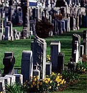 Why Testosterone Tablets Are a Poor Choice