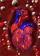 Energize Your Heart, Save Your Life