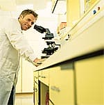 Apple Stem Cells Offer Hope For Aging and Damaged Skin