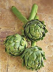 Artichoke Leaf Extract Reduces Cholesterol