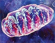 LLLT—Treatment with a Global Track Record 