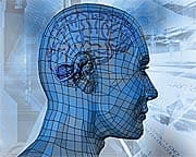 The Dopamine Brain Code