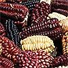 Blue Corn