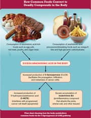Omega-3 Fatty Acids: The First Line of Defense