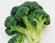 Broccoli May Protect Arteries