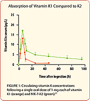 The Long-Acting Form of Vitamin K2 
