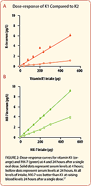 Far Greater Absorption of Vitamin K2 Into Cells 