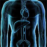 Theaflavin Inhibits Inflammation