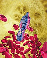 Nanotechnology and Radically Extended Life Span