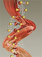 Academic Deceit in Gerontology Exposed