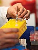 Modified Citrus Pectin’s Effects in Prostate Cancer