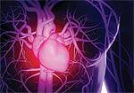 Are Cardiac Drugs Necessary to Protect against Atherosclerosis?