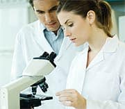 An “Inactive” Hormone Shows Its True Cancer-Fighting Potential