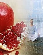 Pomegranate Favorably Modulates Gene Expression
