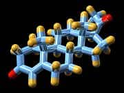 Progesterone in Traumatic Brain Injury