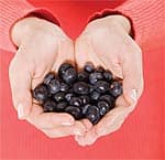 Wild Blueberry Extract