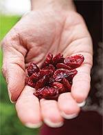 Promoting Heart Health