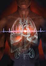 Cardiovascular Protection