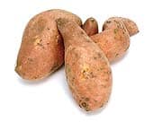 The Rhythm of Healing 