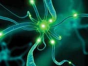 Curcumin: Glucose Control and Increasing Insulin Sensitivity