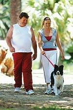 Curcumin Protects Nerve and Brain Cells