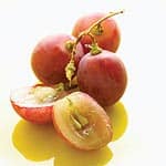 Resveratrol Improves Endothelial Function in Overweight Men and Women