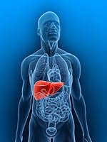 The Liver Disease Epidemic You Need to Know About