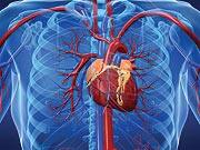 Vitamin B12’s Effects on Homocysteine