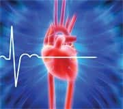 Male and Female Blood Test Panels 