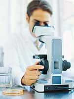 A Complementary Coenzyme