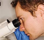 Protective Effect Found for Ginkgo Against Radiation Damage