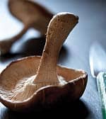 The Lifeblood of the Plant Kingdom