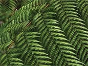 New Combinations offer more Protection