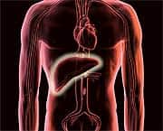 How Testosterone Protects Against Heart Attacks