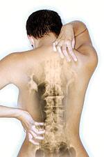 Zinc Plays Role in the Prevention of Osteoporosis