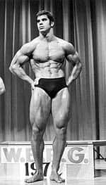 Lou Ferrigno, Incredible Forever